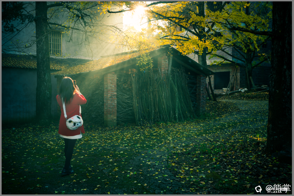 十一月银杏人像