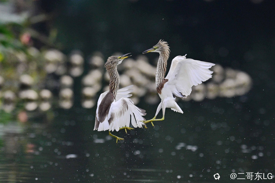 摄影师精华 (1-1).jpg