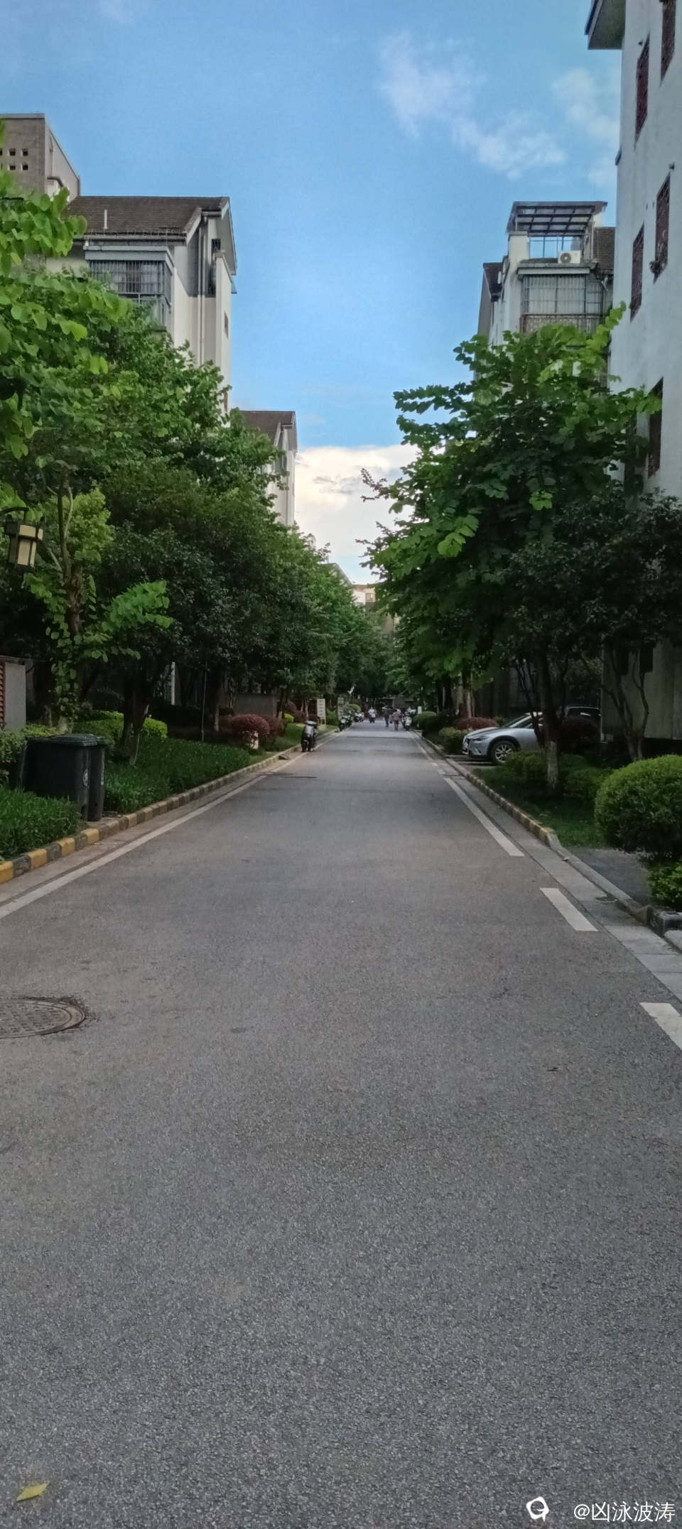 ee9c3bb8-f2e5-7478-db99-c3d91c0c73a9.jpg