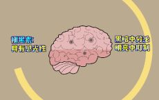 晚上11点后睡觉的人，这种睡眠激素正在流失