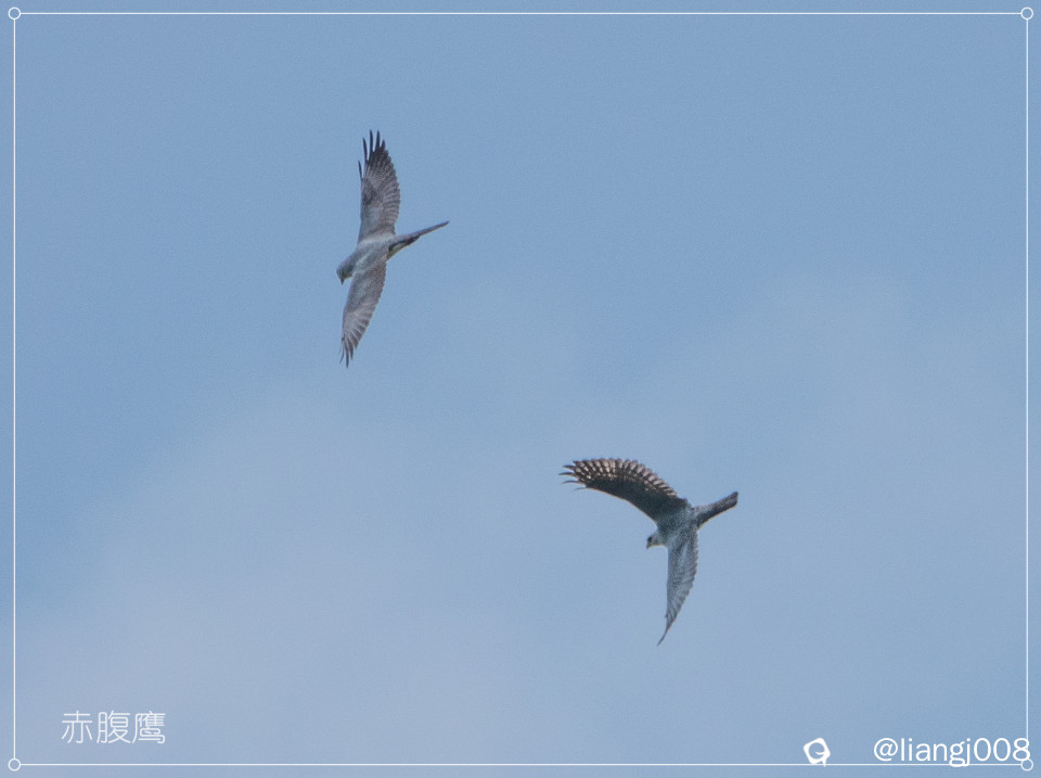 DSC00728_副本.jpg