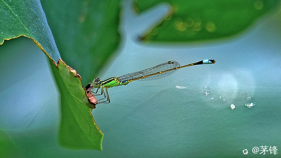 DSCF6941.jpg