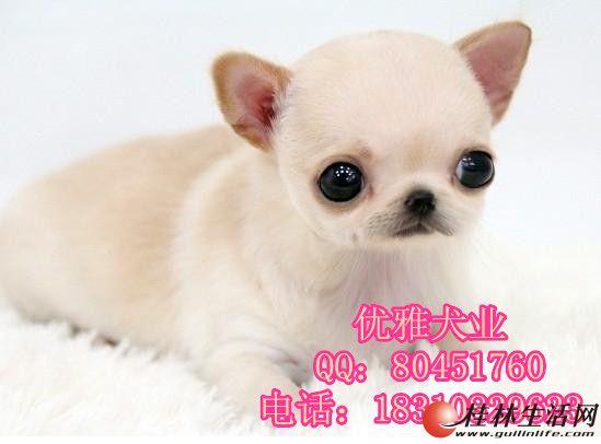 	 ���ּ�������Ȯ�۸� �����з�ֳ�����޵�Ȯ��