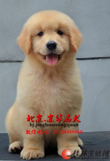 �ƽ���Ȯ ���ִ�ͷ��ë���� ͬ�ǿ������ŷ���