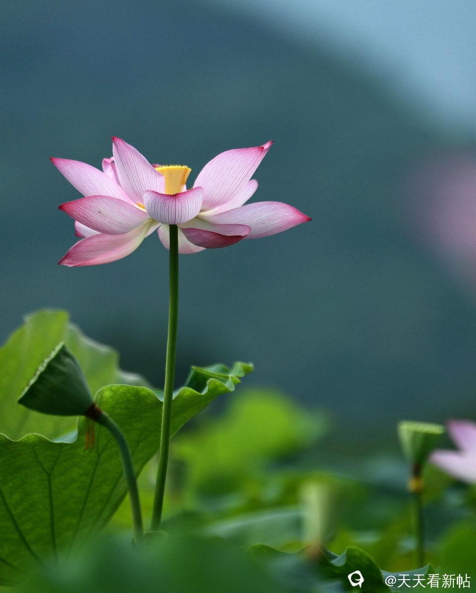 DSC_4613_副本.jpg