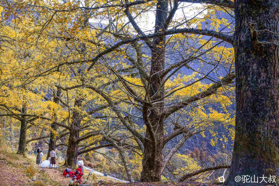 DSC04513-1 - 副本.jpg