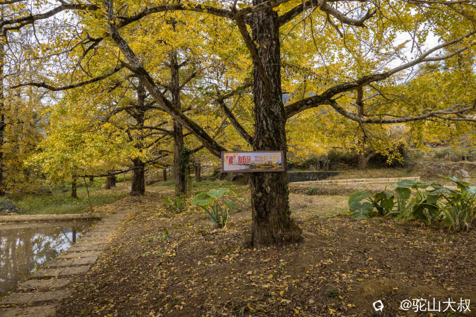 DSC04210-0 - 副本.jpg