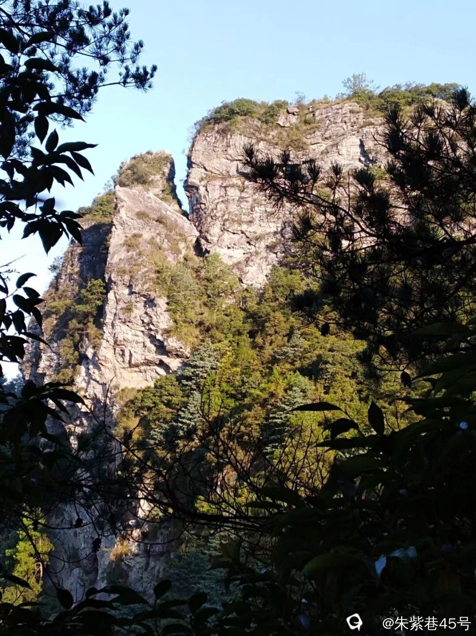 Image_1725222756328.jpg