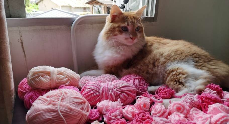 2025年，辛苦了，致不容易的自己