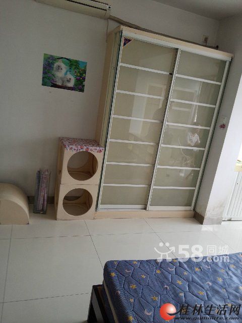 R ��ɽ�� �㵤��Է 60�O 1�� ��װ�Ҿ߼ҵ���ȫ �����ס 1600/��