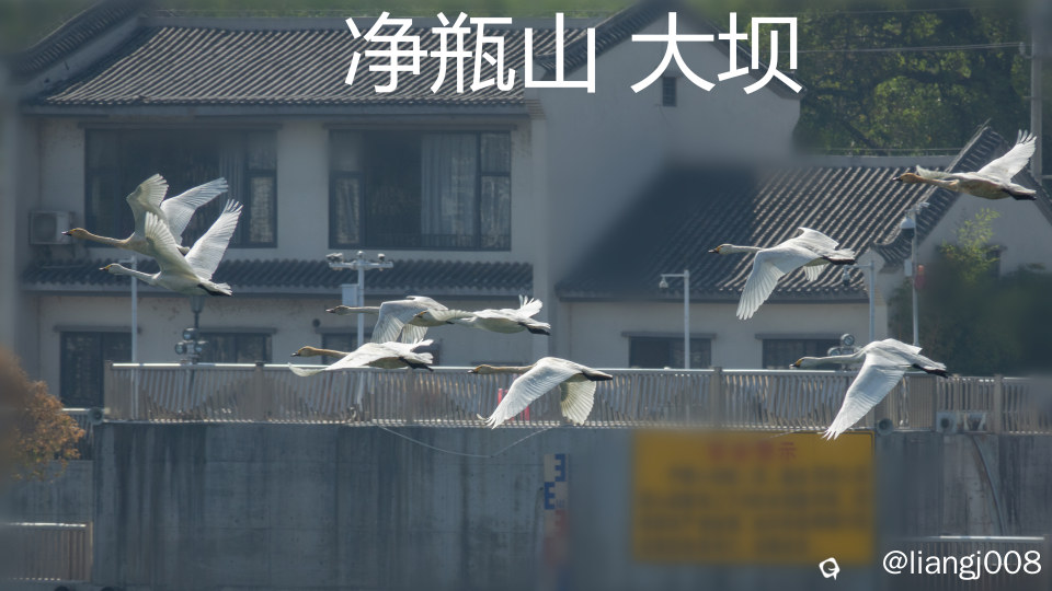 DSC01502_副本_副本.jpg