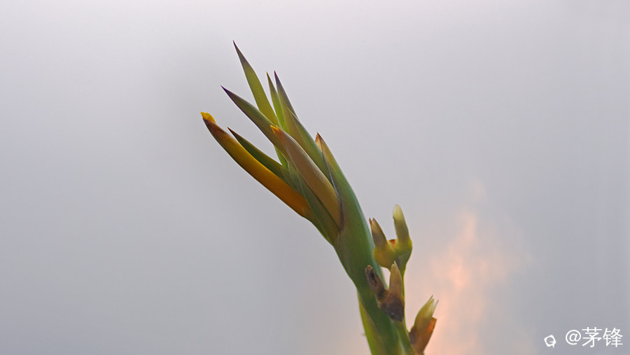 DSCF8835.jpg