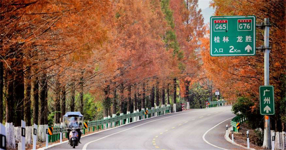 桂林&ldquo;冬日焰火&rdquo;已点燃