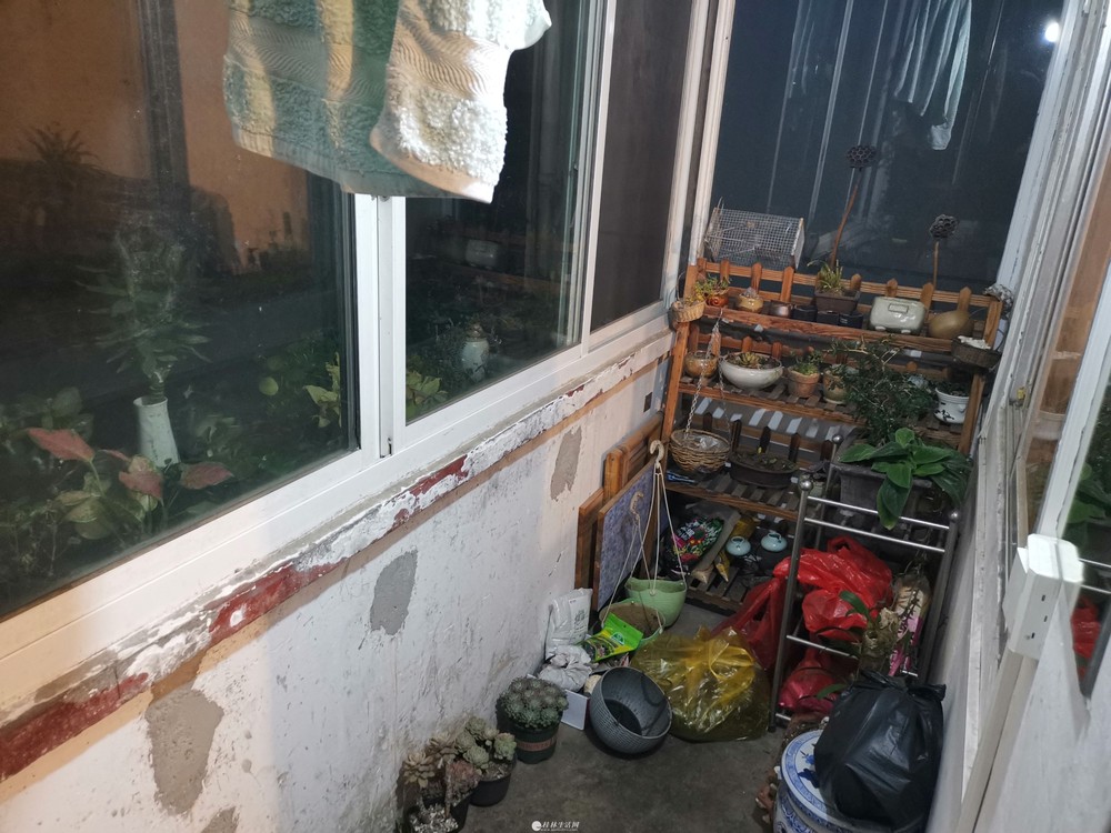 ����ѧ������һ��һ��55ƽ50��
