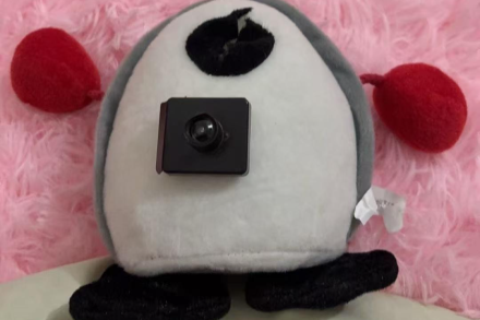 女子网购的玩偶内疑有摄像头