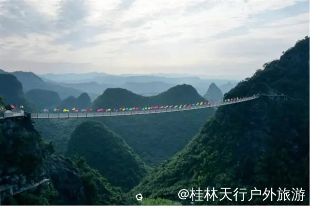 640.webp (9).png