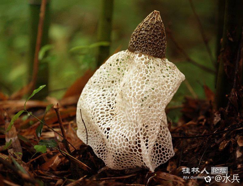 照片 001_副本.jpg