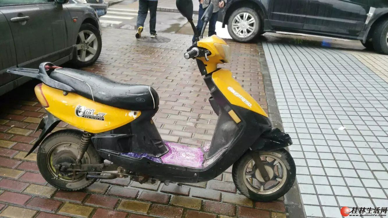 Լжಿ絥550.һʺ.֤.ƿ