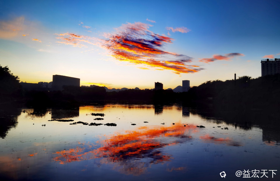 鱼跃水天