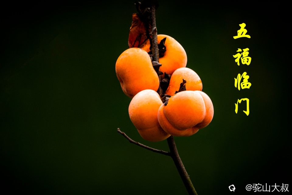 DSC04677-0_副本.jpg