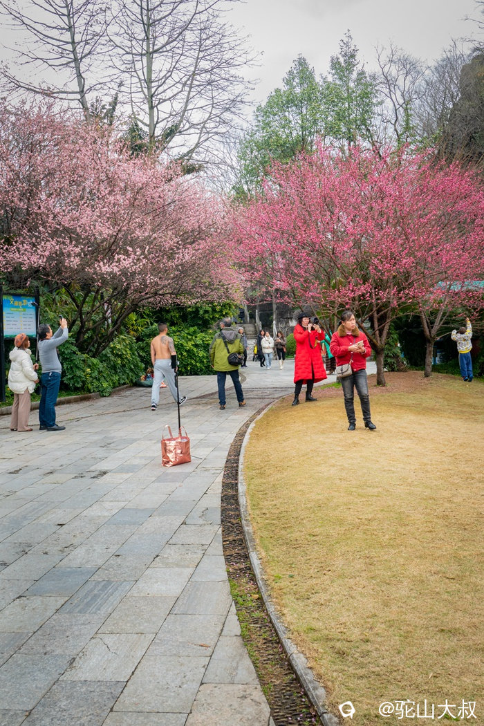 DSC05468-0_副本9.jpg