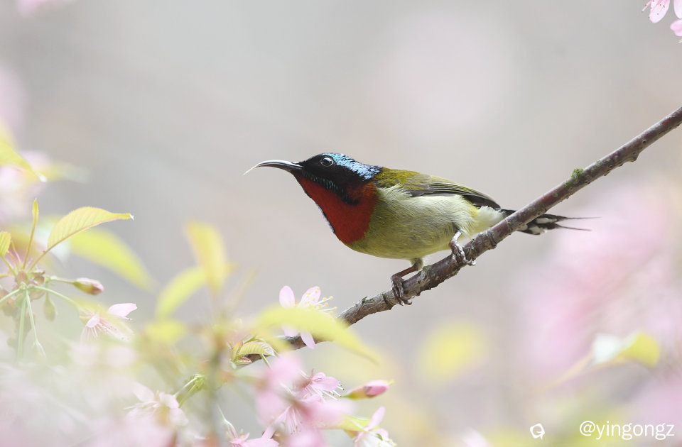 DSC_2877_副本.jpg
