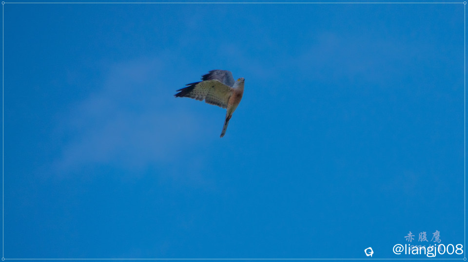 DSC00888_副本.jpg
