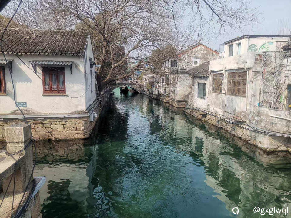 去年3月份在拙政园旁边的平江路口随拍的，水质一般。