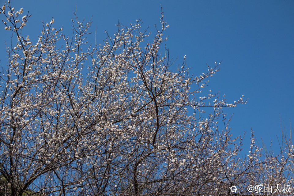 DSC04697-0 - 副本.jpg