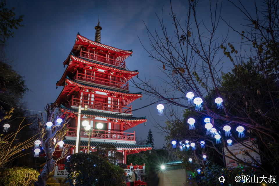 DSC04868-0 - 副本.jpg