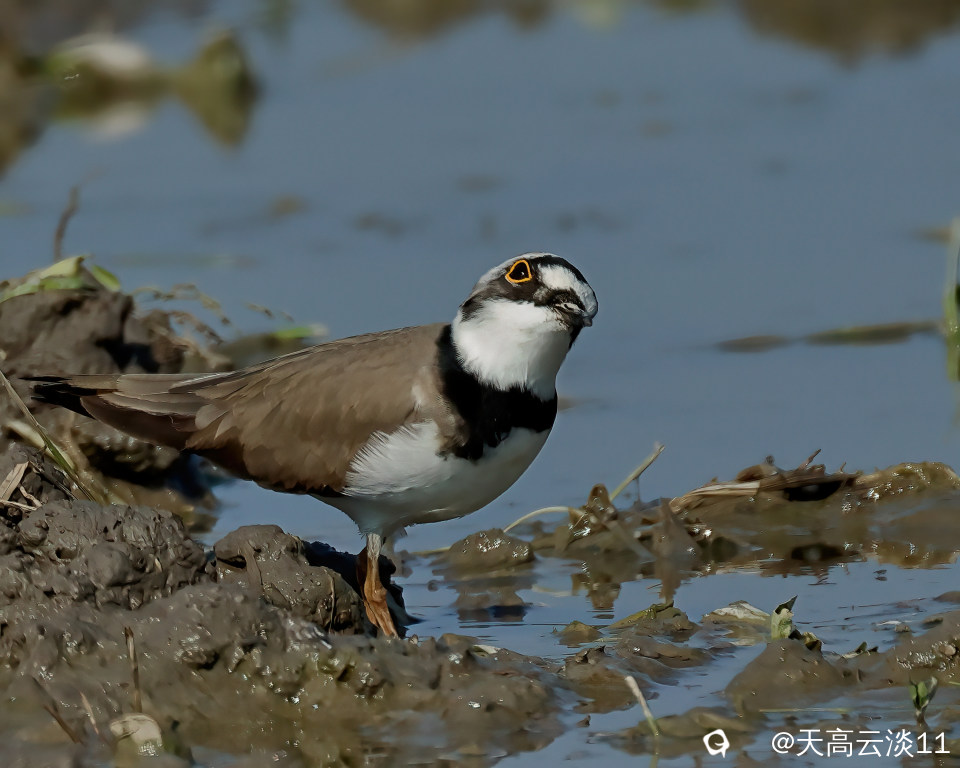 5D2A4122-DeNoiseAI-clear.jpg