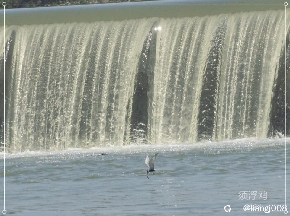 DSC000831_副本.jpg