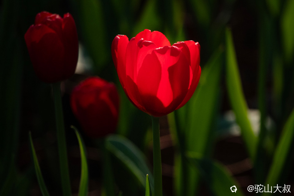 DSC00586-0 - 副本.jpg