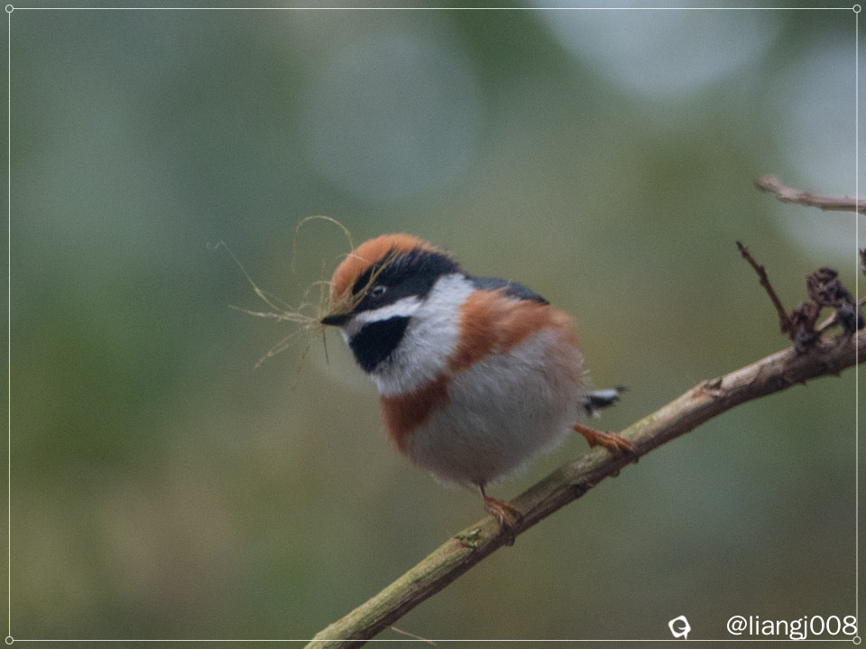 DSC071081_副本.jpg