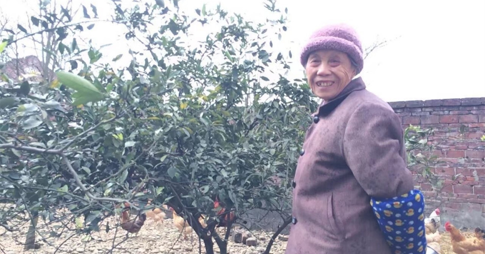 诗画一样的故园：记忆中的母亲印象