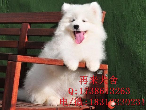 	 ������ĦҮ��Ȯȥ������ �����������ֵ���Ħ