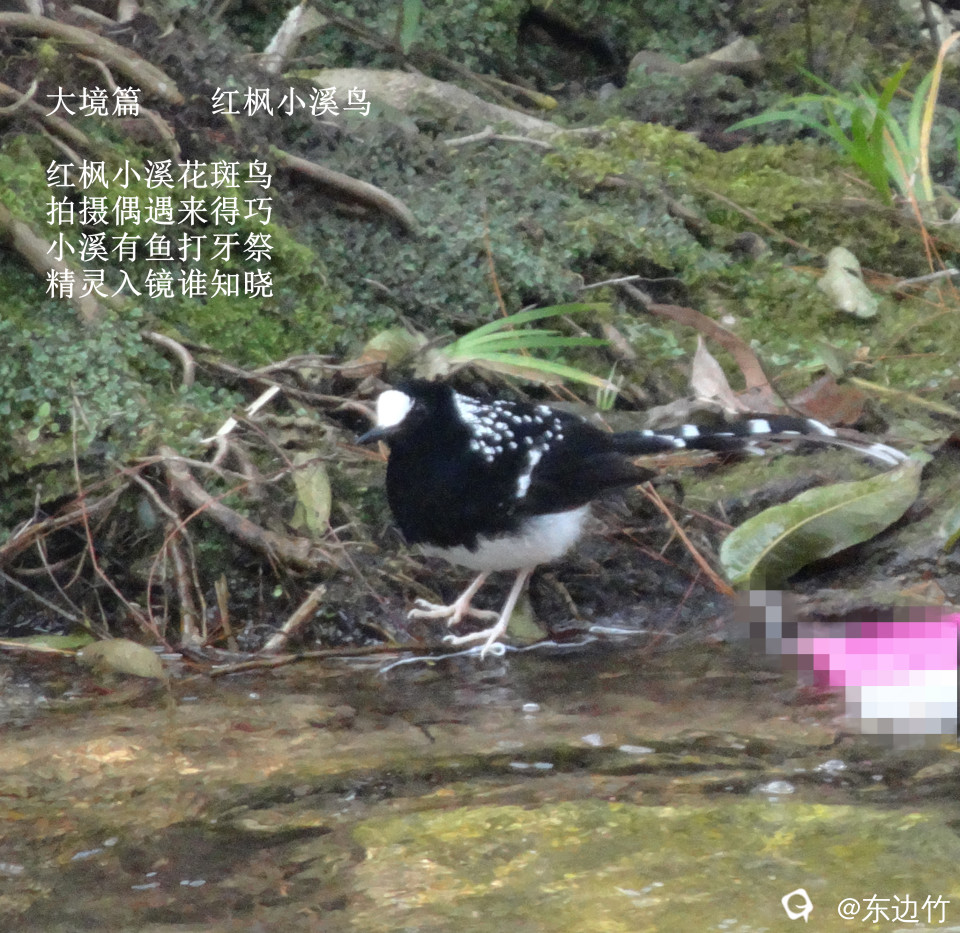 547_副本.jpg