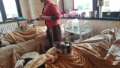 �����ٹ���ҽ�����������ƹ�