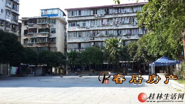 Z ����һ�ף��Ÿ�����õĻƽ�λ��  �ź�ѧ�� 100�O 55��