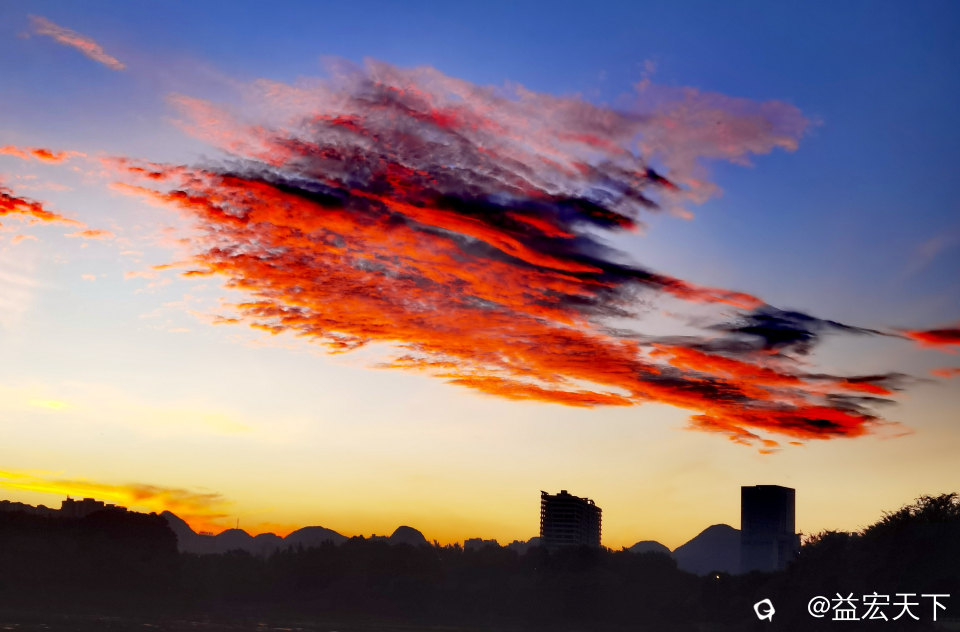 鱼跃水天