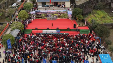 开耕节  神牛迎春