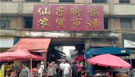 一次起止仙子脚的湖南游