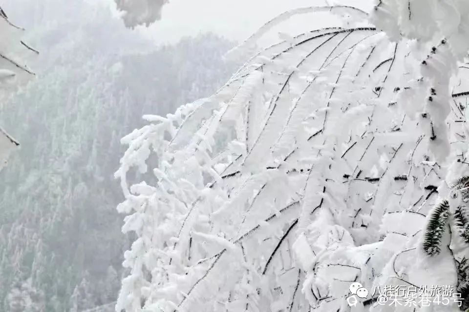 mmexport0f08252a2ab6e04e0f42aa7892757196_1706525854719.jpeg