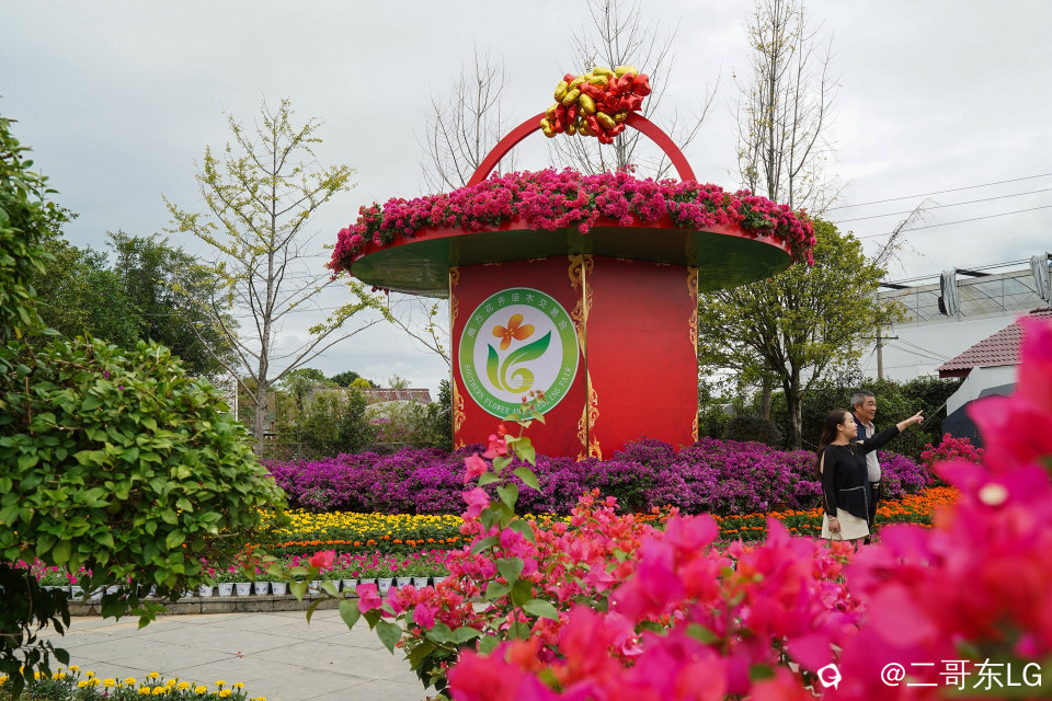 南方第三届花卉苗木交易会 (3).jpg