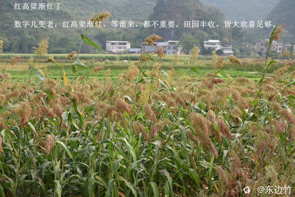 728_副本1.jpg