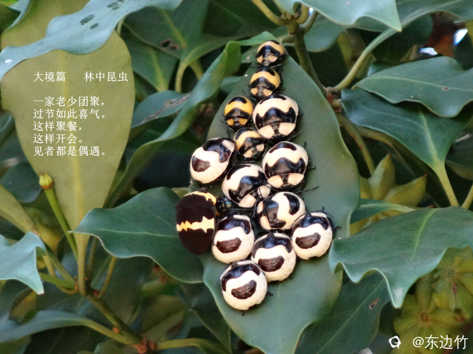 492_副本.jpg