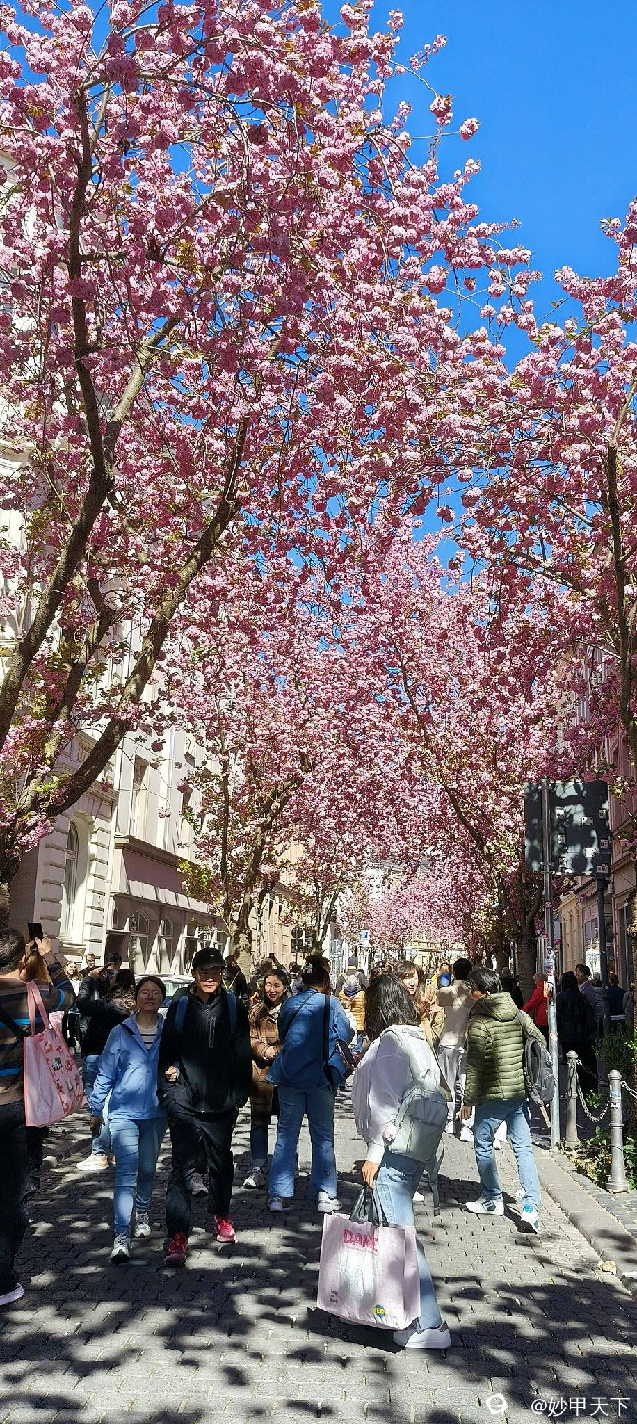 IMG20250406124303 (2).jpg