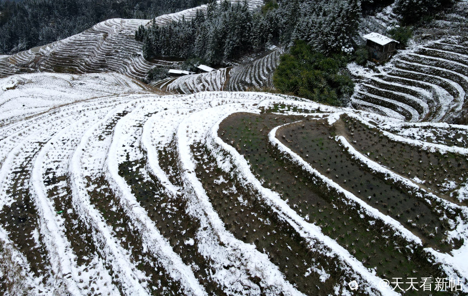 DJI_0286_副本.jpg