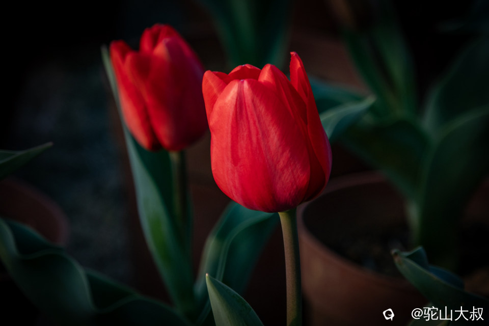 DSC05416-0 - 副本.jpg