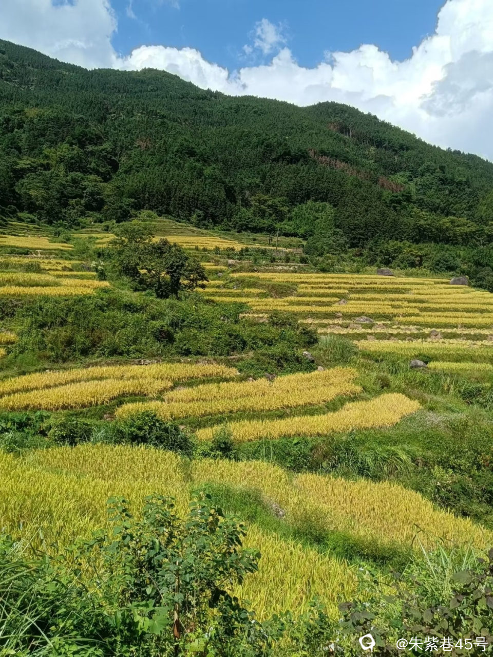 Image_1725796244083.jpg